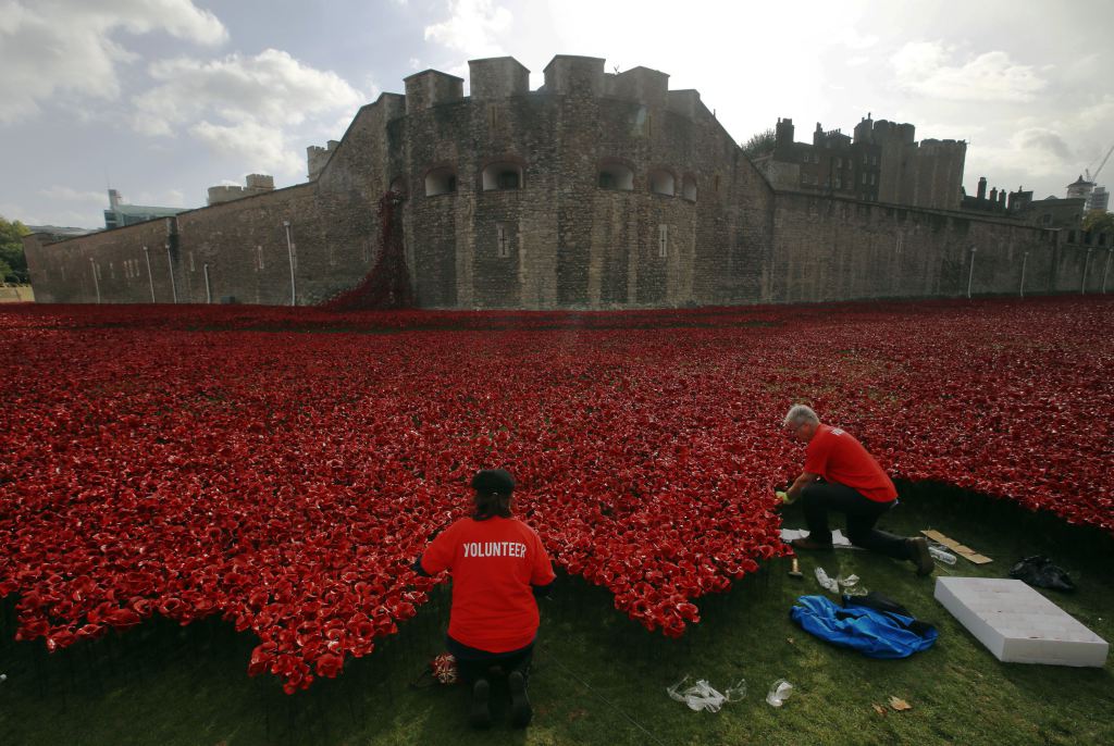 Volunteers plant ceramic poppies amongst other poppies that form part of the art installation called "Blood Swept Lands and Seas of Red" at the Tower of London