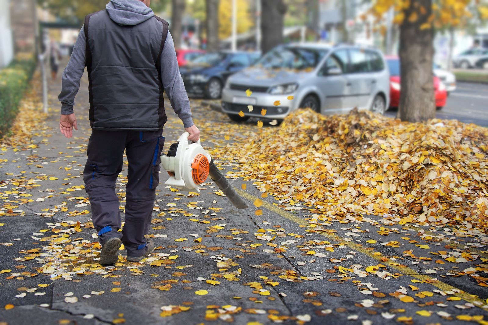 Worker With A Leaf Blower